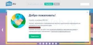 Как зарегистрировать домен на примере reg.ru